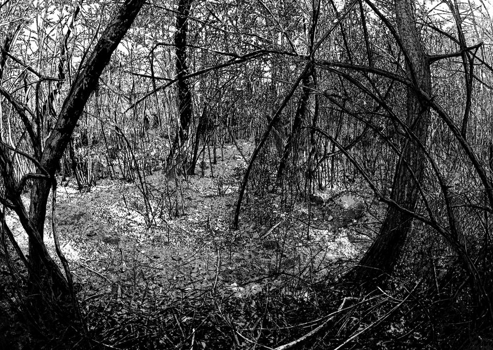 I Am A Hero Chap 36 - Next Chap 37