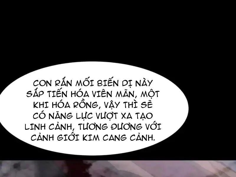Sau Khi Chia Tay Hoa Khôi Võ Đạo Của Ta Thẳng Tới Cấp Thần [Chap 48]