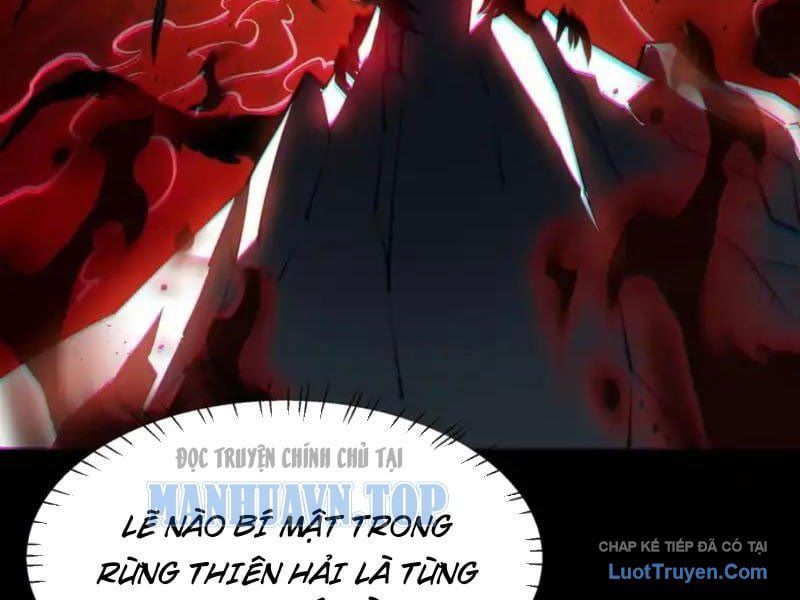 Sau Khi Chia Tay Hoa Khôi Võ Đạo Của Ta Thẳng Tới Cấp Thần [Chap 48]