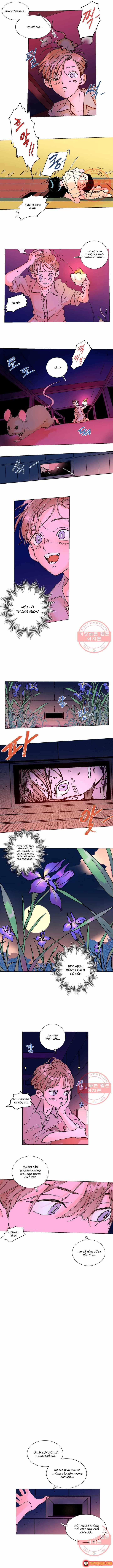 Bá Tước Tachibana Chap 10 - Next Chap 9