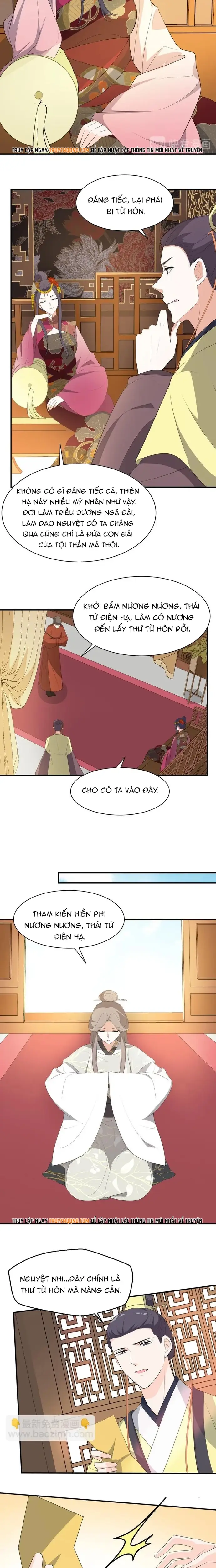 Trùng Sinh Chuyên Sủng Độc Phi Của Nhiếp Chính Vương - Trang 7