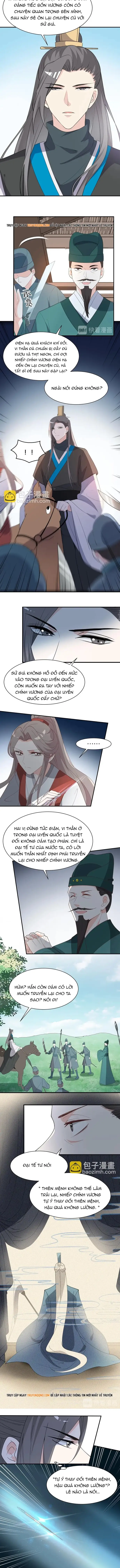 Trùng Sinh Chuyên Sủng Độc Phi Của Nhiếp Chính Vương - Trang 4