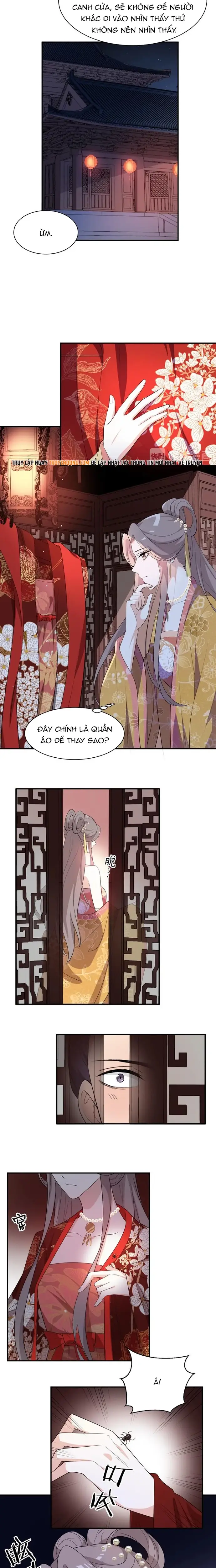 Trùng Sinh Chuyên Sủng Độc Phi Của Nhiếp Chính Vương - Trang 6