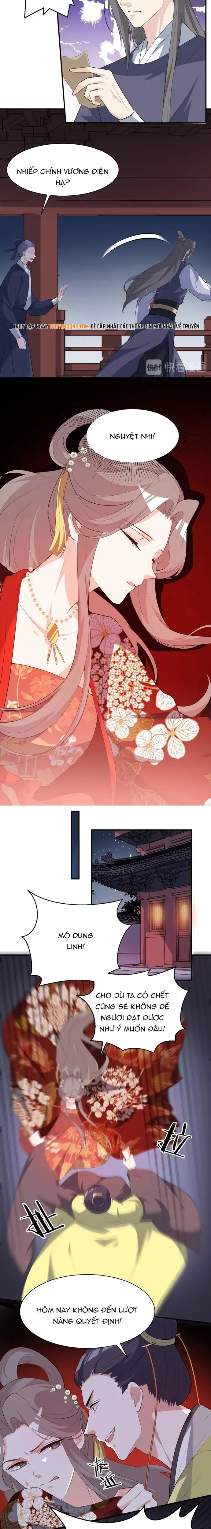 Trùng Sinh Chuyên Sủng Độc Phi Của Nhiếp Chính Vương - Trang 4