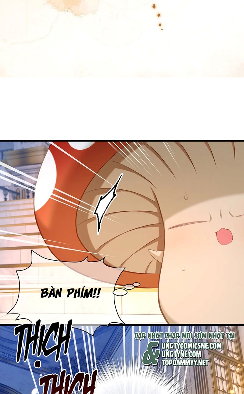 Tôi Trùng Sinh Trở Thành Tiểu Ác Long Của Vương Tử Điện Hạ - Trang 23