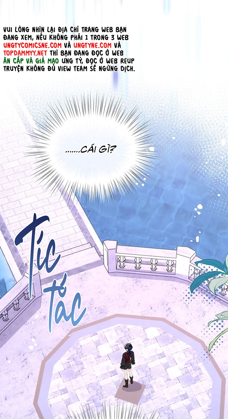 Tôi Trùng Sinh Trở Thành Tiểu Ác Long Của Vương Tử Điện Hạ - Trang 30