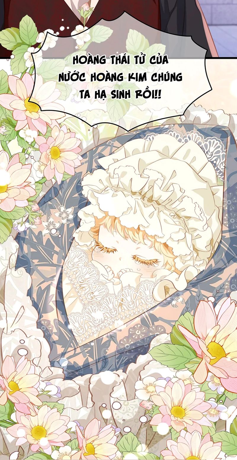 Tôi Trùng Sinh Trở Thành Tiểu Ác Long Của Vương Tử Điện Hạ - Trang 35
