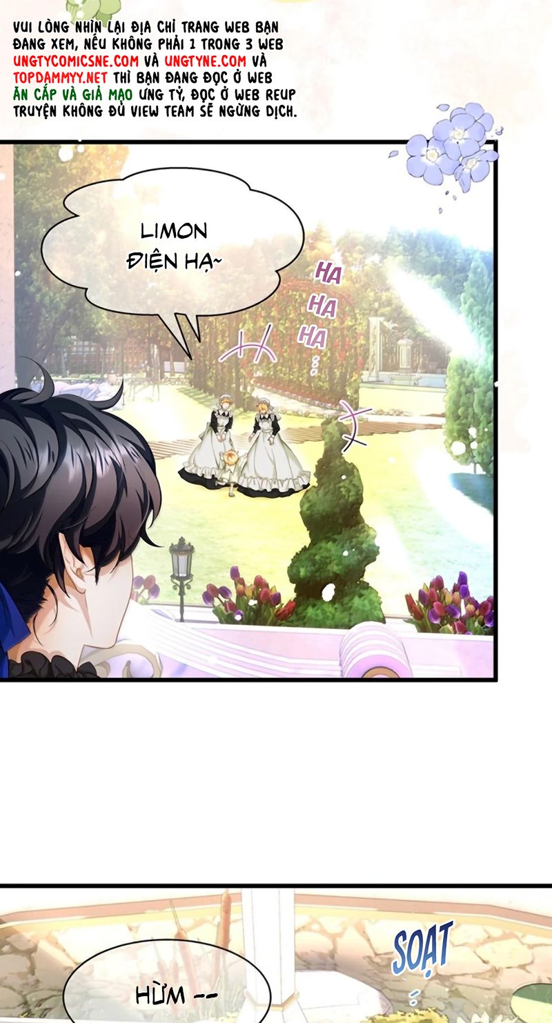 Tôi Trùng Sinh Trở Thành Tiểu Ác Long Của Vương Tử Điện Hạ - Trang 11