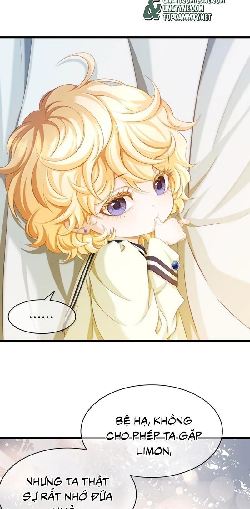 Tôi Trùng Sinh Trở Thành Tiểu Ác Long Của Vương Tử Điện Hạ - Trang 20