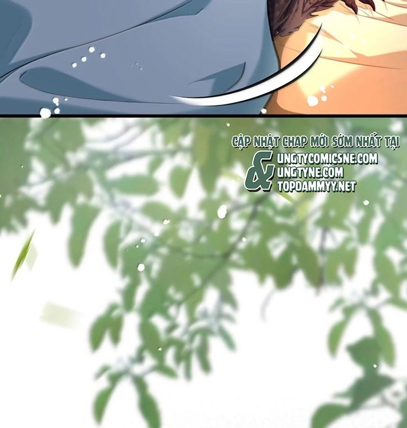 Tôi Trùng Sinh Trở Thành Tiểu Ác Long Của Vương Tử Điện Hạ - Trang 8