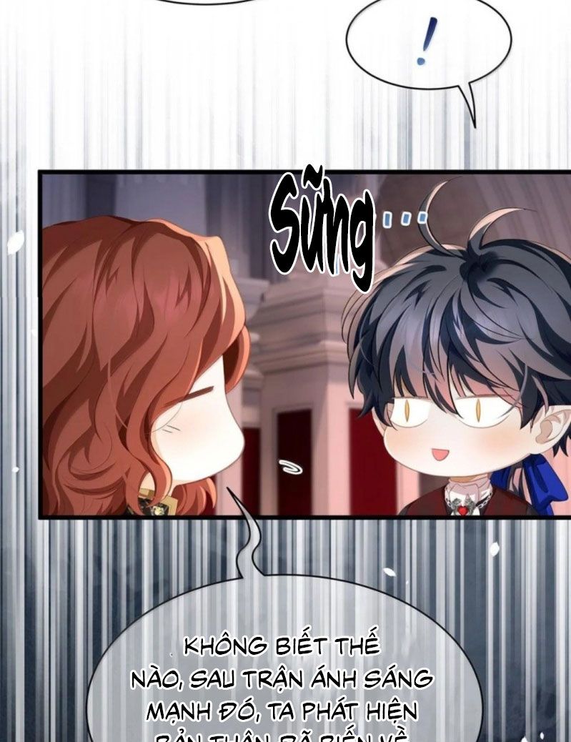 Tôi Trùng Sinh Trở Thành Tiểu Ác Long Của Vương Tử Điện Hạ - Trang 26