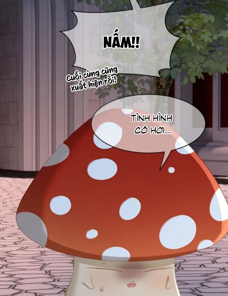 Tôi Trùng Sinh Trở Thành Tiểu Ác Long Của Vương Tử Điện Hạ - Trang 32