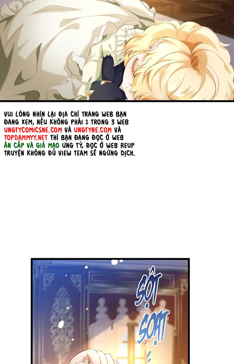 Tôi Trùng Sinh Trở Thành Tiểu Ác Long Của Vương Tử Điện Hạ - Trang 25