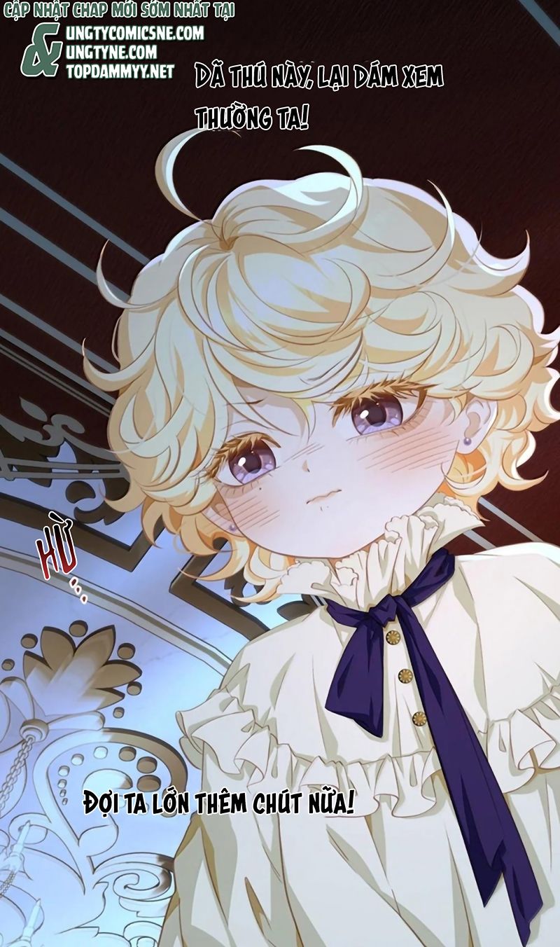 Tôi Trùng Sinh Trở Thành Tiểu Ác Long Của Vương Tử Điện Hạ - Trang 43