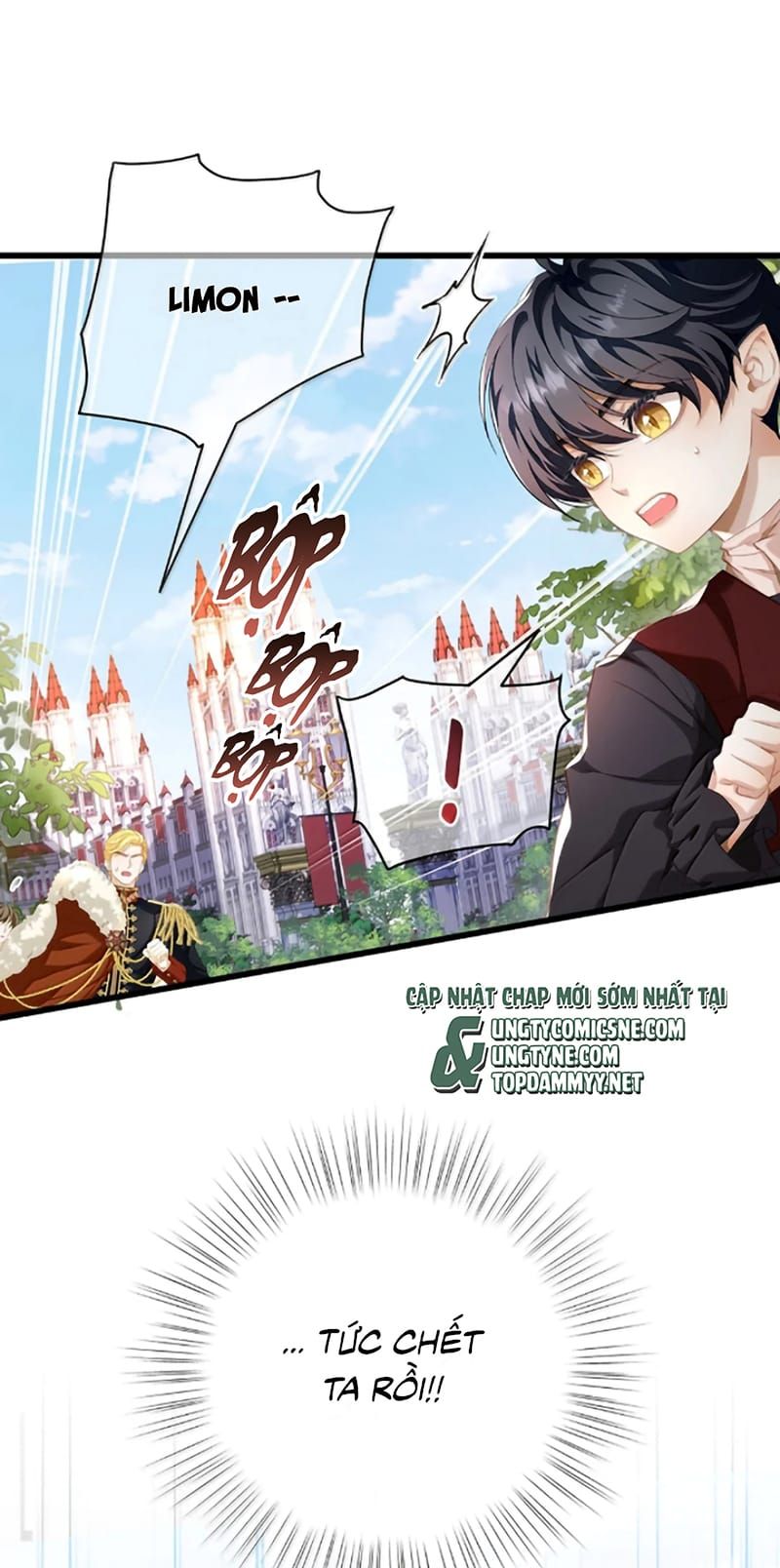 Tôi Trùng Sinh Trở Thành Tiểu Ác Long Của Vương Tử Điện Hạ - Trang 14