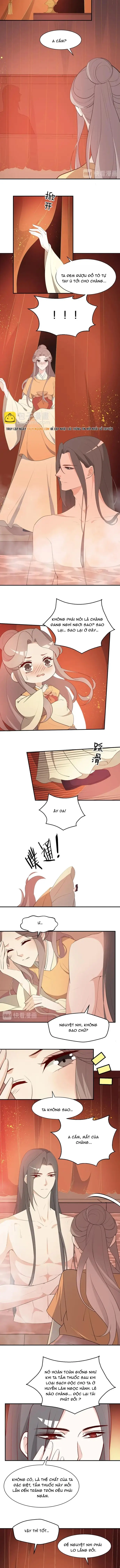 Trùng Sinh Chuyên Sủng Độc Phi Của Nhiếp Chính Vương - Trang 4