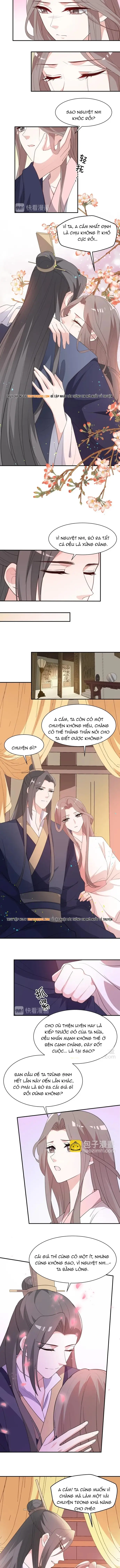 Trùng Sinh Chuyên Sủng Độc Phi Của Nhiếp Chính Vương - Trang 4