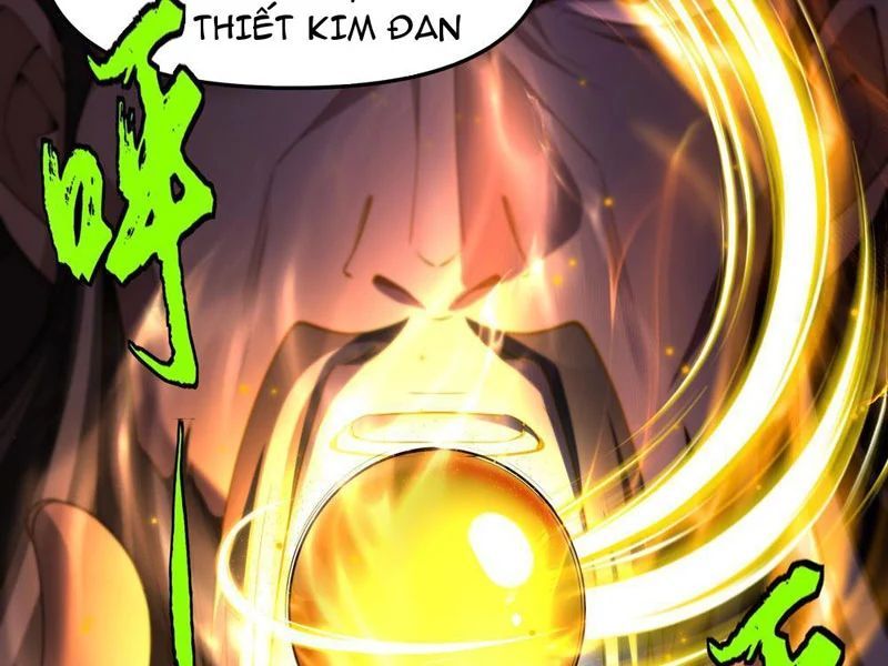 Kim Đan To Bằng Hằng Tinh! Ngươi Gọi Đây Mà Là Tu Tiên Á?! - Trang 17