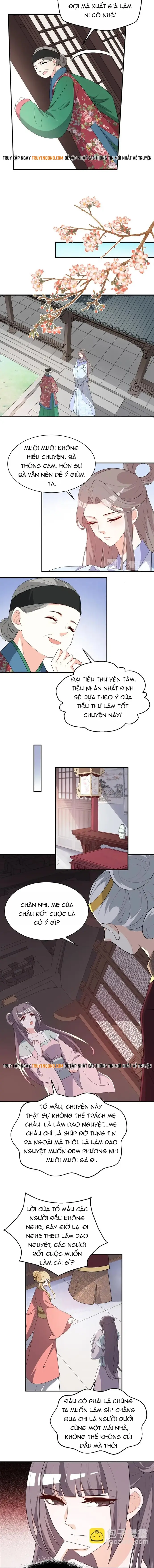 Trùng Sinh Chuyên Sủng Độc Phi Của Nhiếp Chính Vương - Trang 5