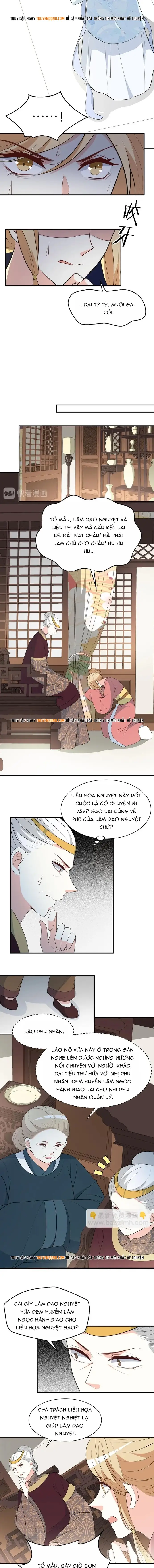 Trùng Sinh Chuyên Sủng Độc Phi Của Nhiếp Chính Vương - Trang 5