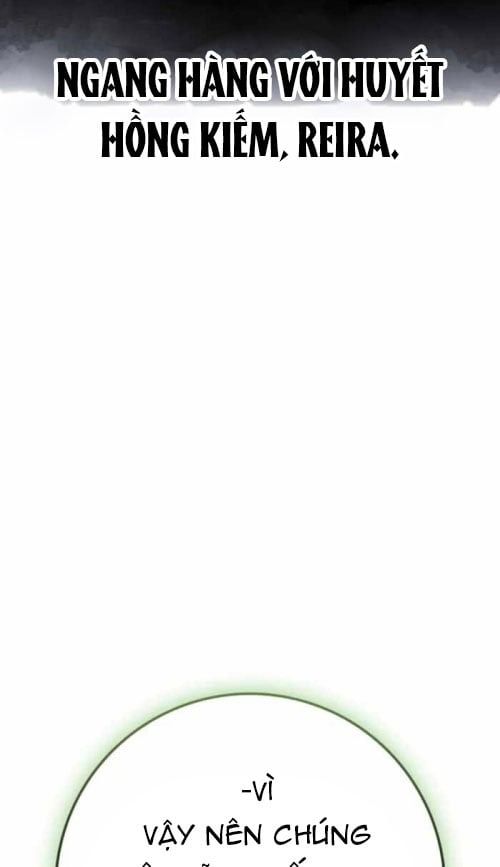 Pháp Sư Thiên Tài Phá Vỡ Giới Hạn Chương 41 - Trang 11