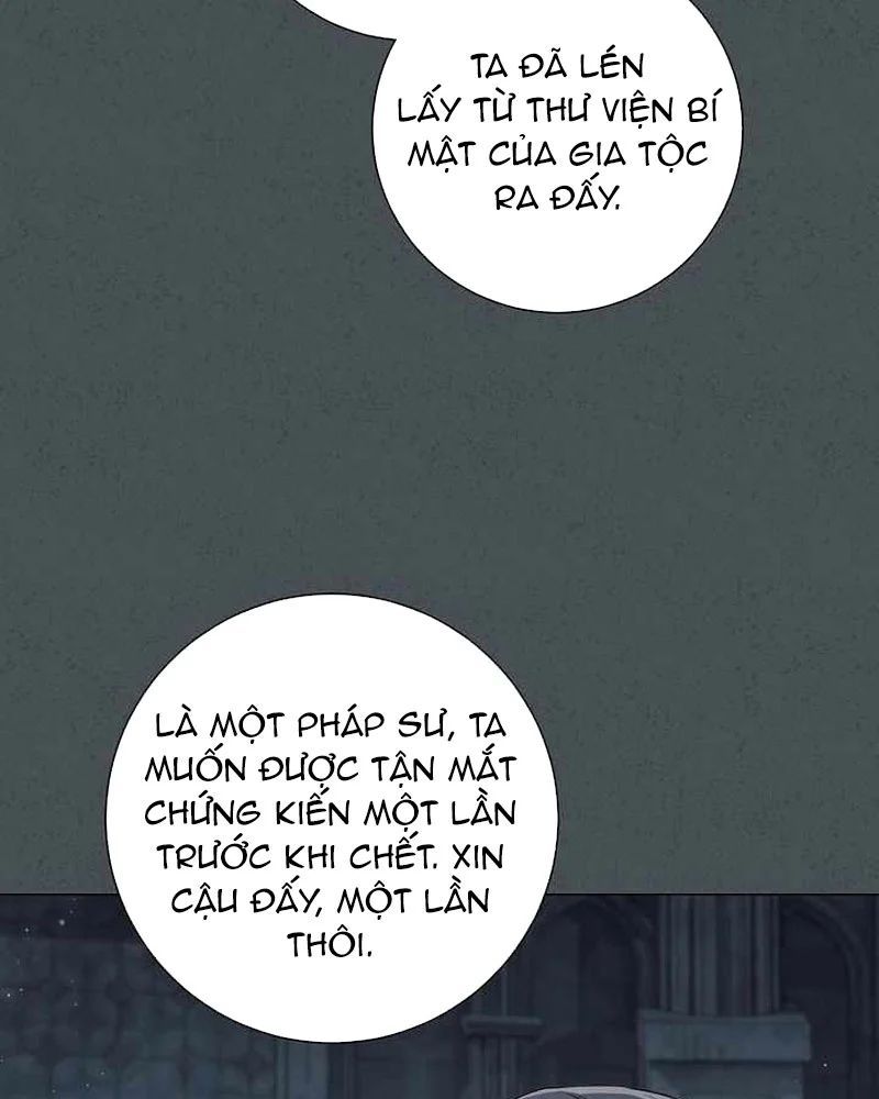 Ma Pháp Quân Chủ - Trang 16