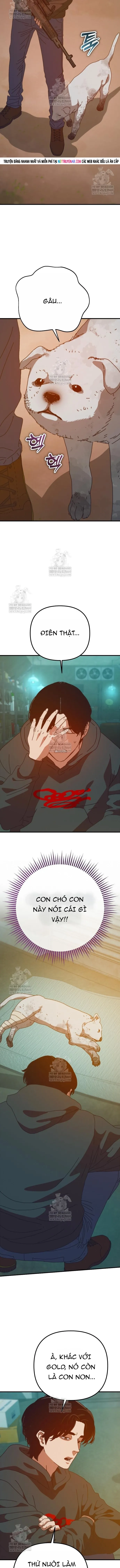 Ngôi Nhà Ẩn Ngày Tận Thế - Trang 14