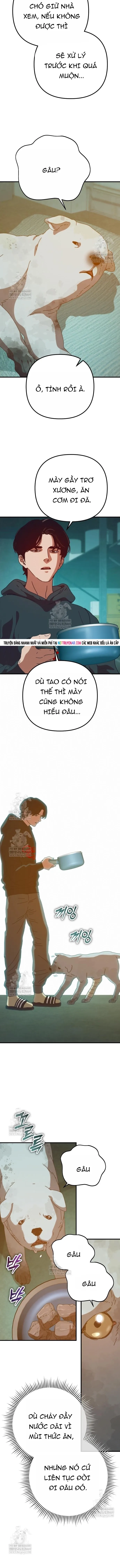 Ngôi Nhà Ẩn Ngày Tận Thế - Trang 15