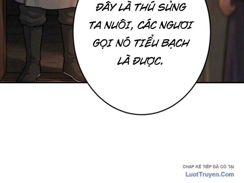 Xuyên Không Tới Tu Tiên Giới Làm Trù Thần Chap 19 - Next Chap 18