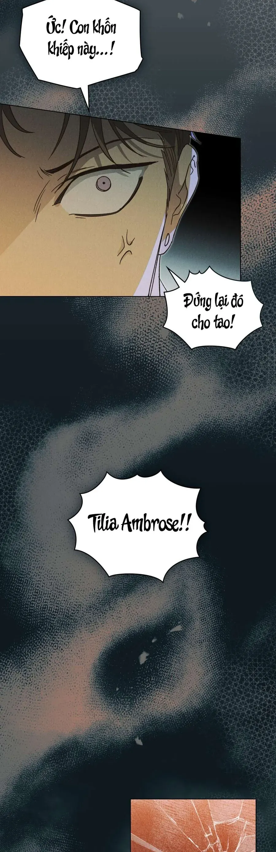 Hồ Điệp Nuốt Chửng Sương Mù - Trang 26