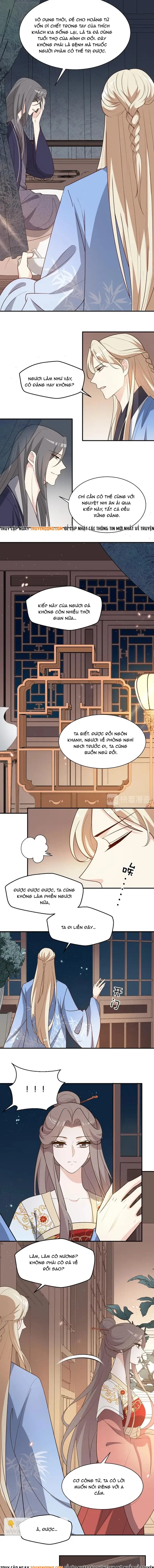 Trùng Sinh Chuyên Sủng Độc Phi Của Nhiếp Chính Vương - Trang 4