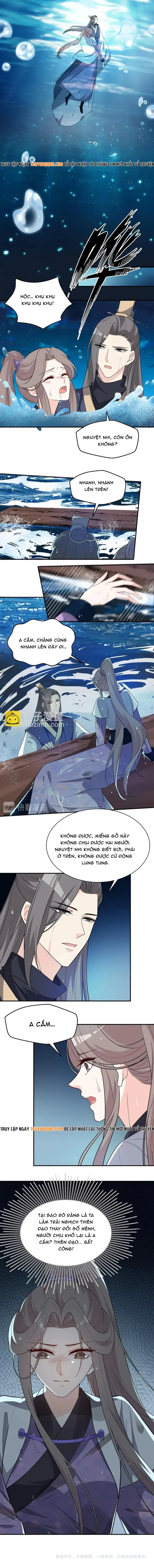 Trùng Sinh Chuyên Sủng Độc Phi Của Nhiếp Chính Vương - Trang 5