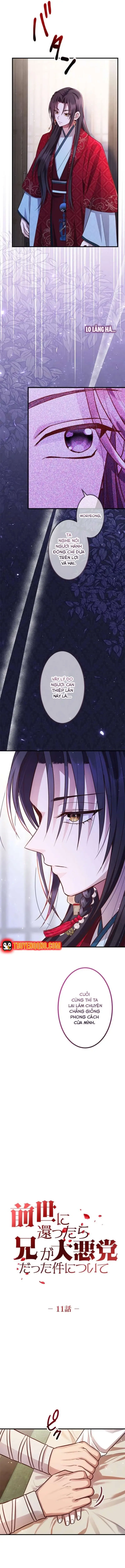 Trùng Sinh Về Kiếp Trước, Ta Phát Hiện Anh Trai Là Kẻ Đại Ác Nhân - Trang 9
