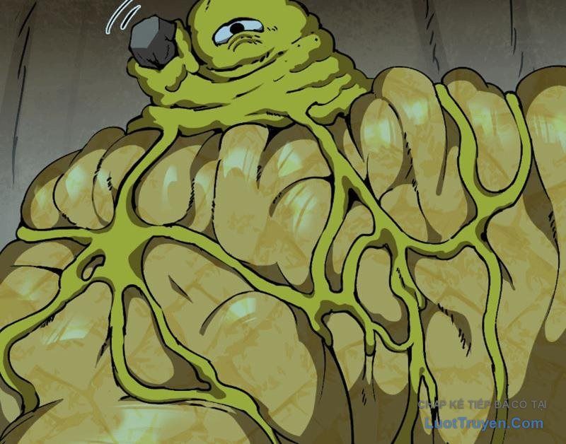 Bắt Đầu Từ Việc Trùng Sinh Thành Niêm Khuẩn - Trang 153