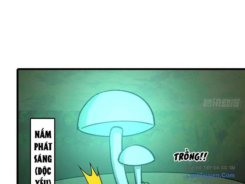 Bắt Đầu Từ Việc Trùng Sinh Thành Niêm Khuẩn - Trang 17