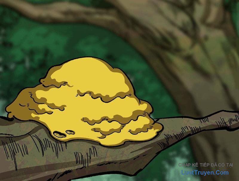 Bắt Đầu Từ Việc Trùng Sinh Thành Niêm Khuẩn - Trang 63