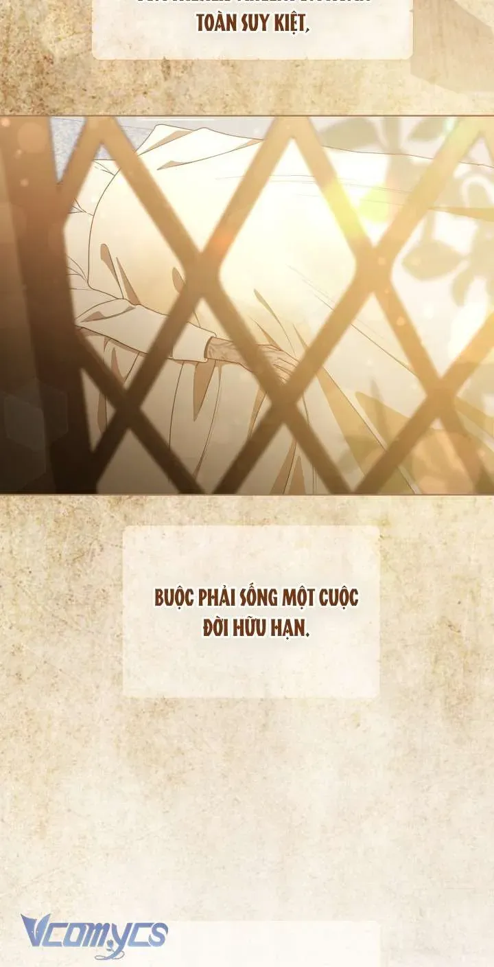 Sự Điều Trị Đặc Biệt Của Tinh Linh - Trang 5