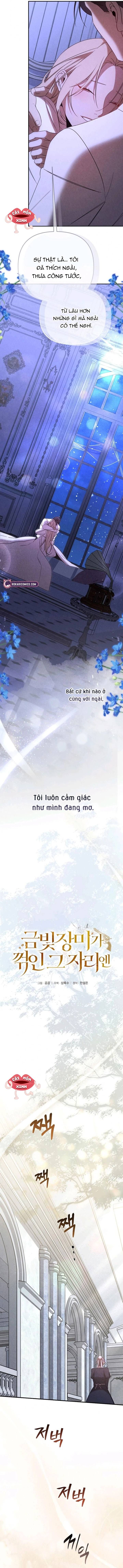 Nơi Đóa Hồng Vàng Úa Tàn Chương 24 - Trang 9