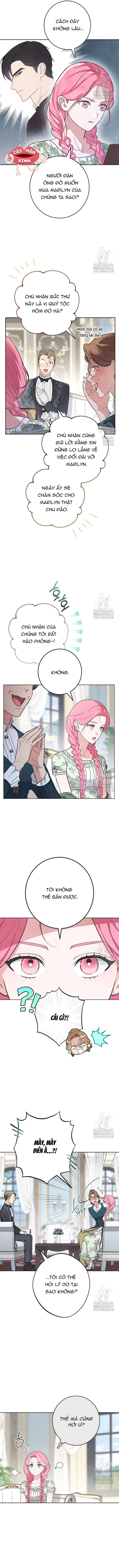 Nỗi Ám Ảnh Dành Cho Công Tước Phu Nhân Chap 2 - Next Chap 1