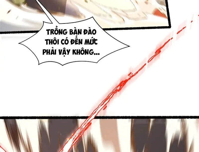 Đỉnh Cấp Khí Vận Lặng Lẽ Tu Luyện Ngàn Năm Chap 286 - Next Chap 285