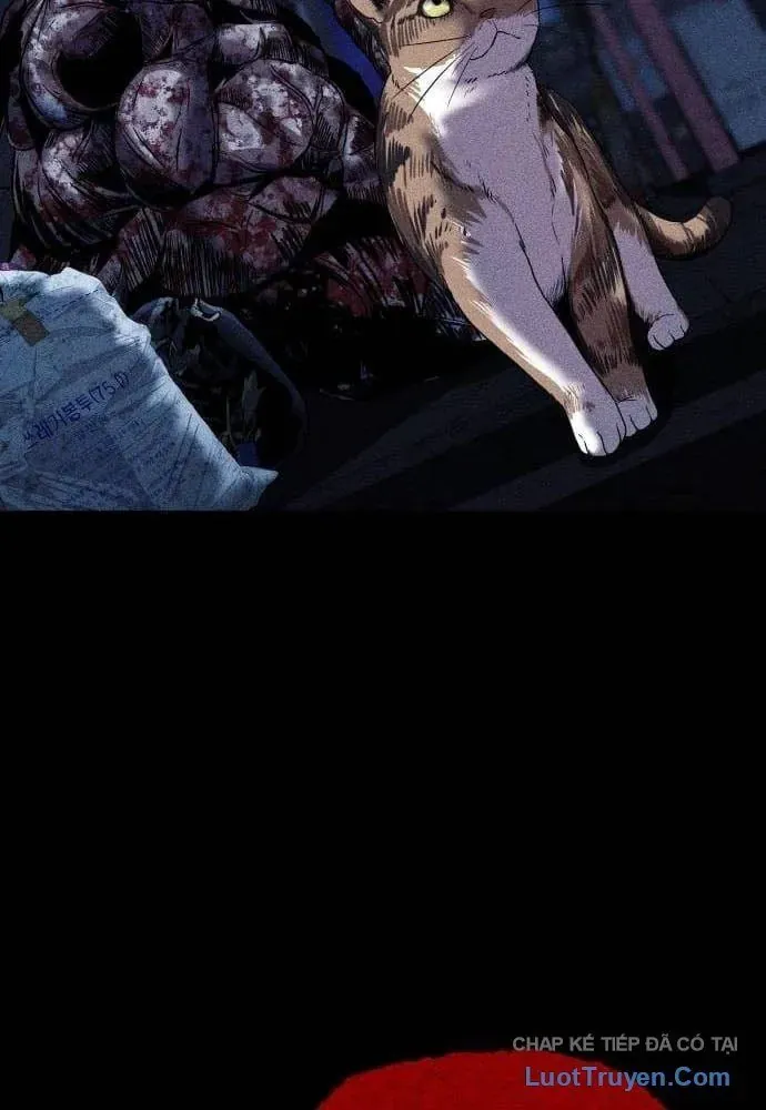 Trang truyện 14
