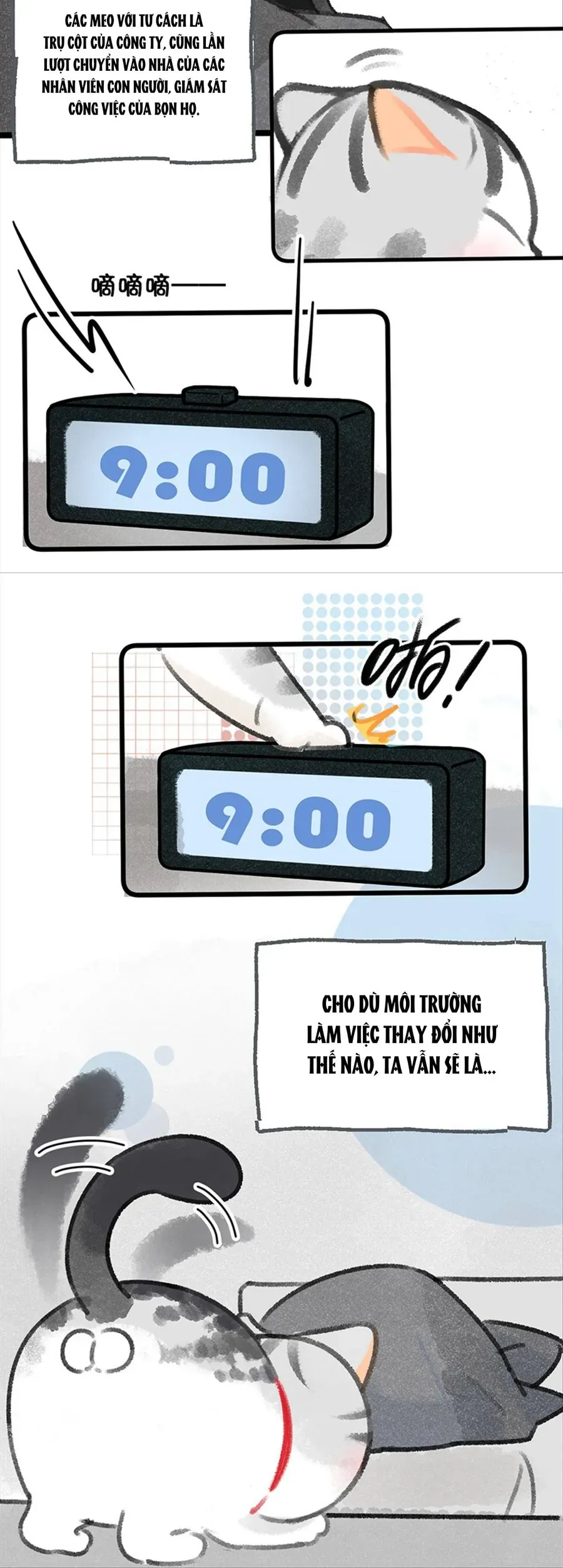 Lục Lạc Mèo Chap 33 - Next Chap 32