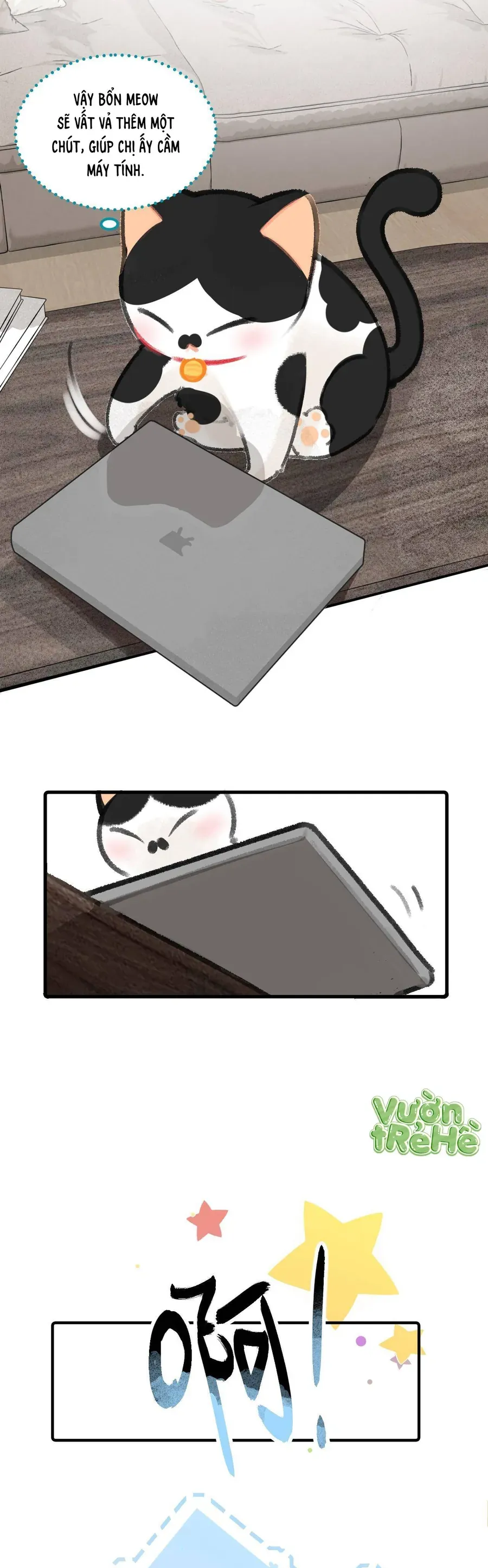 Lục Lạc Mèo Chap 35 - Next Chap 34