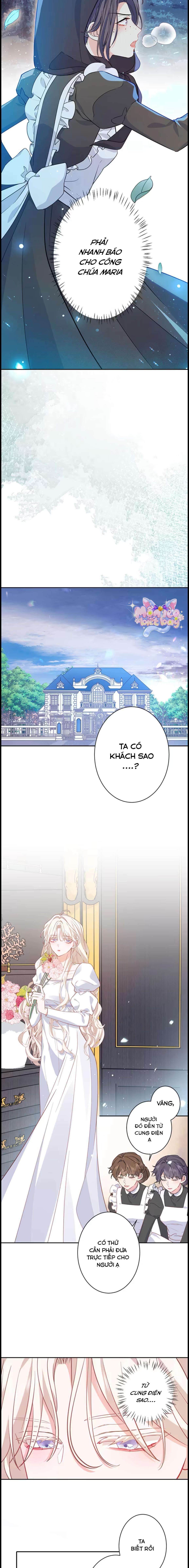 Lần Này, Tôi Sẽ Tránh Cuộc Hôn Nhân Với Anh - Cách Để Rời Xa Anh, Một Người Không Có Tình Yêu Chap 6 - Next Chap 5