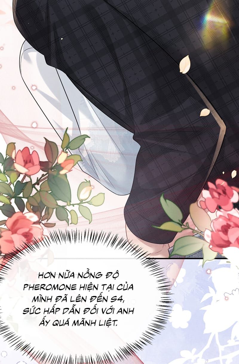 Chấp Sự Thỏ Cụp Tai [Chap 193] - Page 22