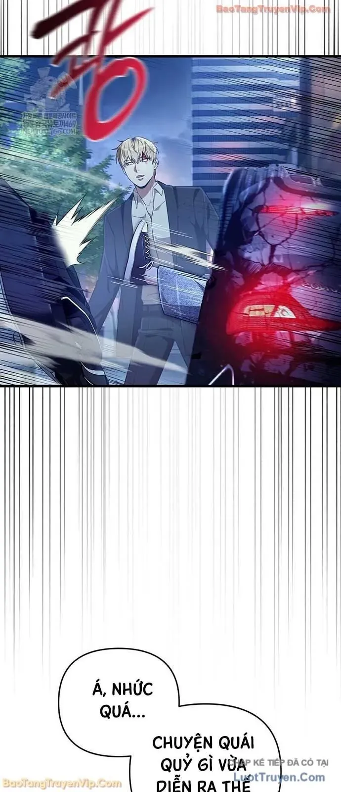 Huyễn Tượng Thợ Săn Tại Dị Giới [Chap 72] - Page 3