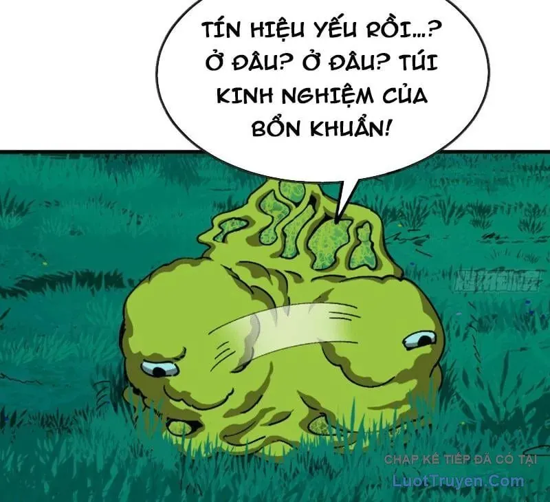 Bắt Đầu Từ Việc Trùng Sinh Thành Niêm Khuẩn Chap 12 - Next Chap 11