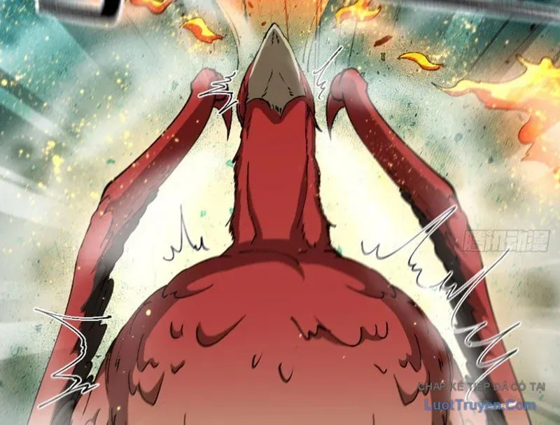 Bắt Đầu Từ Việc Trùng Sinh Thành Niêm Khuẩn Chap 15 - Next Chap 14