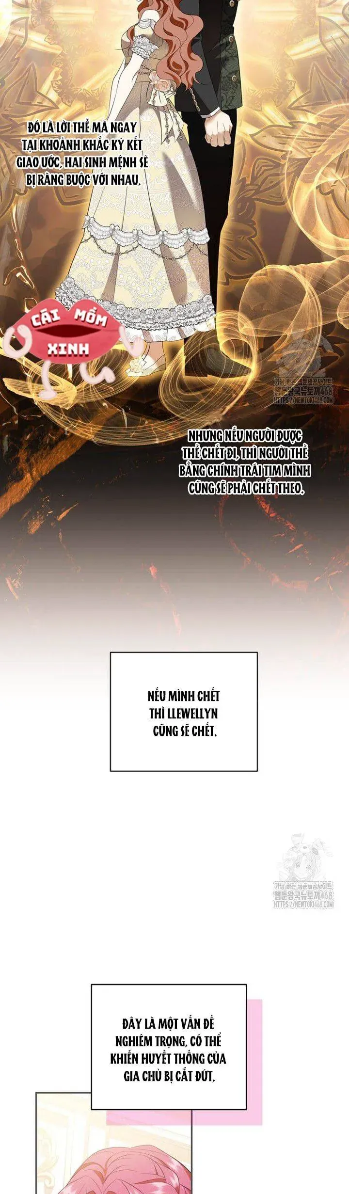 Khi Bị Nam Chính Dịu Dàng Nhưng Cố Chấp Ám Ảnh Chap 25 - Next Chap 24