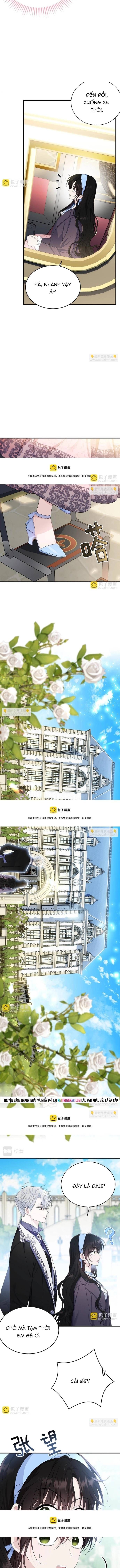 Tiểu Thư Mà Tôi Phục Vụ Biến Thành Thiếu Gia Rồi - Trang 12